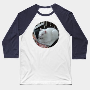 Cat Baseball T-Shirt